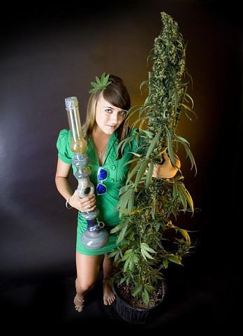 Девушки и марихуана обои выращивание конопли википедия