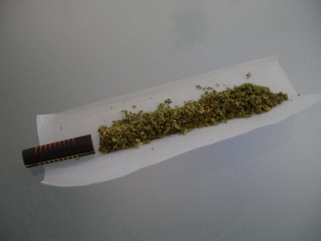 Косяк из конопли как делать листья марихуаны курятся