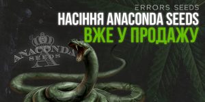 Поступление новых семян от Anaconda Seeds