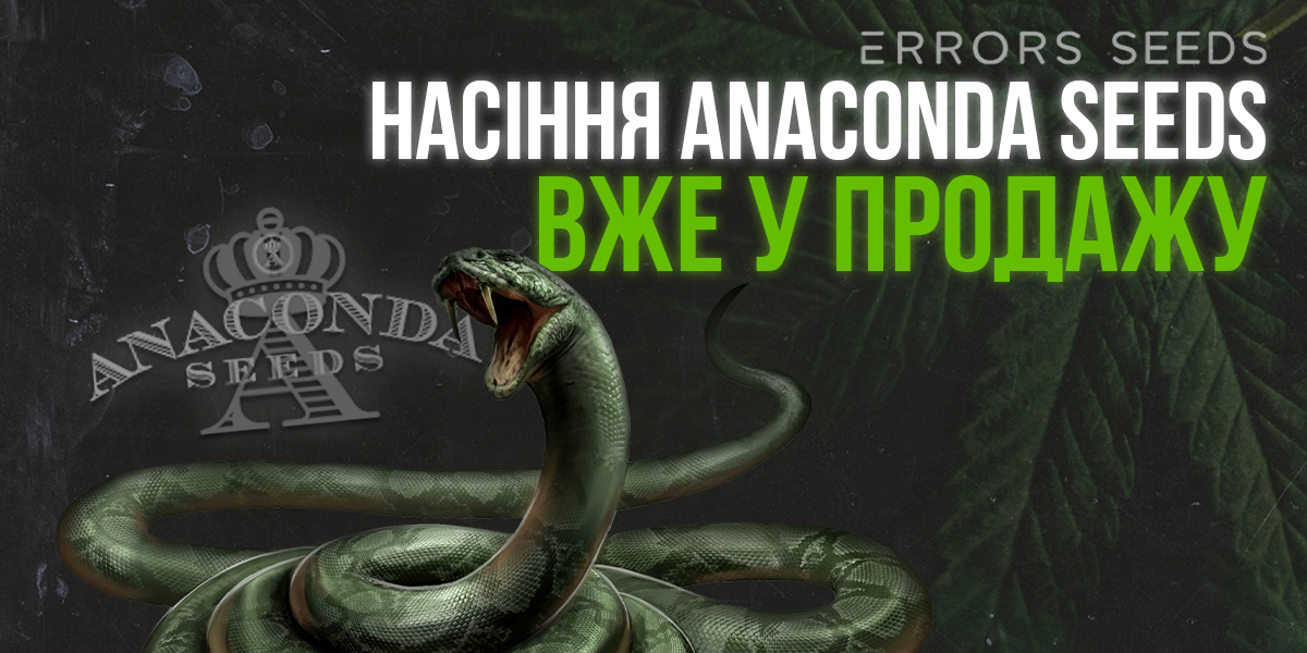 Поступление новых семян от Anaconda Seeds