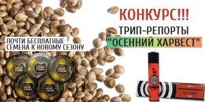 конкурс, ежегодный конкурс,