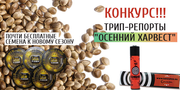 конкурс, ежегодный конкурс,
