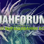 JahForum запускает свой Youtube-канал!