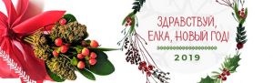 уникальное предложение