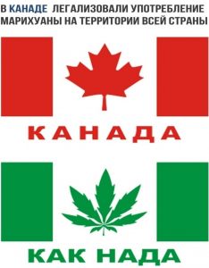 канада, марихуана, легализация, конопля, каннабис, легализация марихуаны в канаде, легализация марихуаны, курение конопли, косяк, сорт марихуаны,