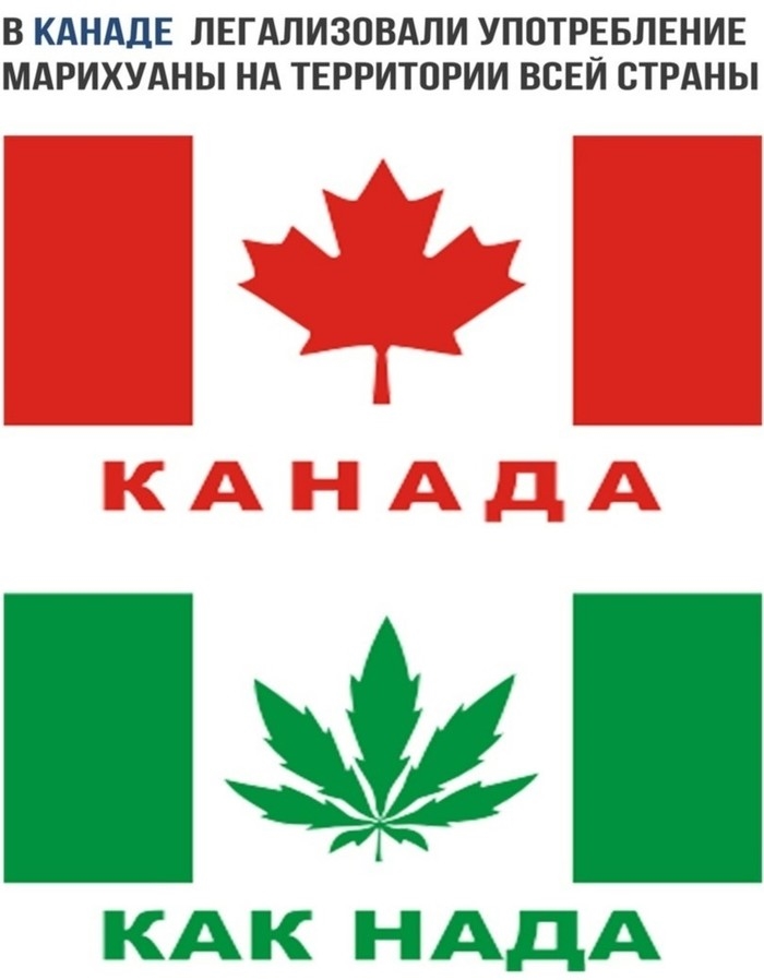 канада, марихуана, легализация, конопля, каннабис, легализация марихуаны в канаде, легализация марихуаны, курение конопли, косяк, сорт марихуаны,