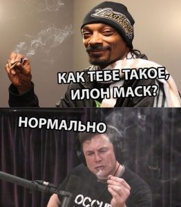 канада, марихуана, легализация, конопля, каннабис, легализация марихуаны в канаде, легализация марихуаны, курение конопли, косяк, сортовая марихуана, ганжа, ganja, mj, 420, weed, marijuana, cannabis, hemp, печенье с коноплёй, выпечка из конопли, breaking bad, baking bread, cannabis bread, smoking weed, smoking weed every day, snoop dog, снуп дог, илон маск, elon musk, илон макс курит косяк, илон макс курит травку, илон маск курит марихуану, илон макс курит коноплю,