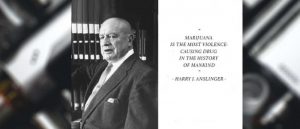 марихуана, цитаты о марихуане, высказывания про каннабис, наркотик, травка, ганджа, ганжа, фбн, dea, fbn, reefer madness, humor, harry, anslinger, анслингер,